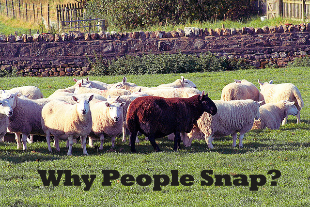 Why People Snap?